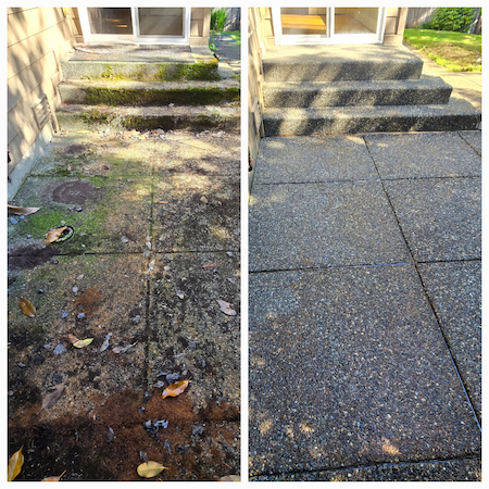 Pressure Washing Rear Patio and Walkway in Issaquah, WA