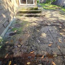 Pressure-Washing-Rear-Patio-and-Walkway-in-Issaquah-WA 2